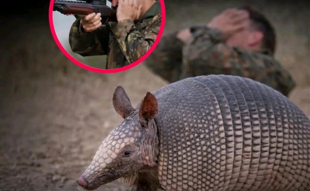 États-Unis : un tir contre un tatou se retourne contre le tireur au Texas